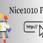 Nice 1010.com Review: Features, Benefits & Insights